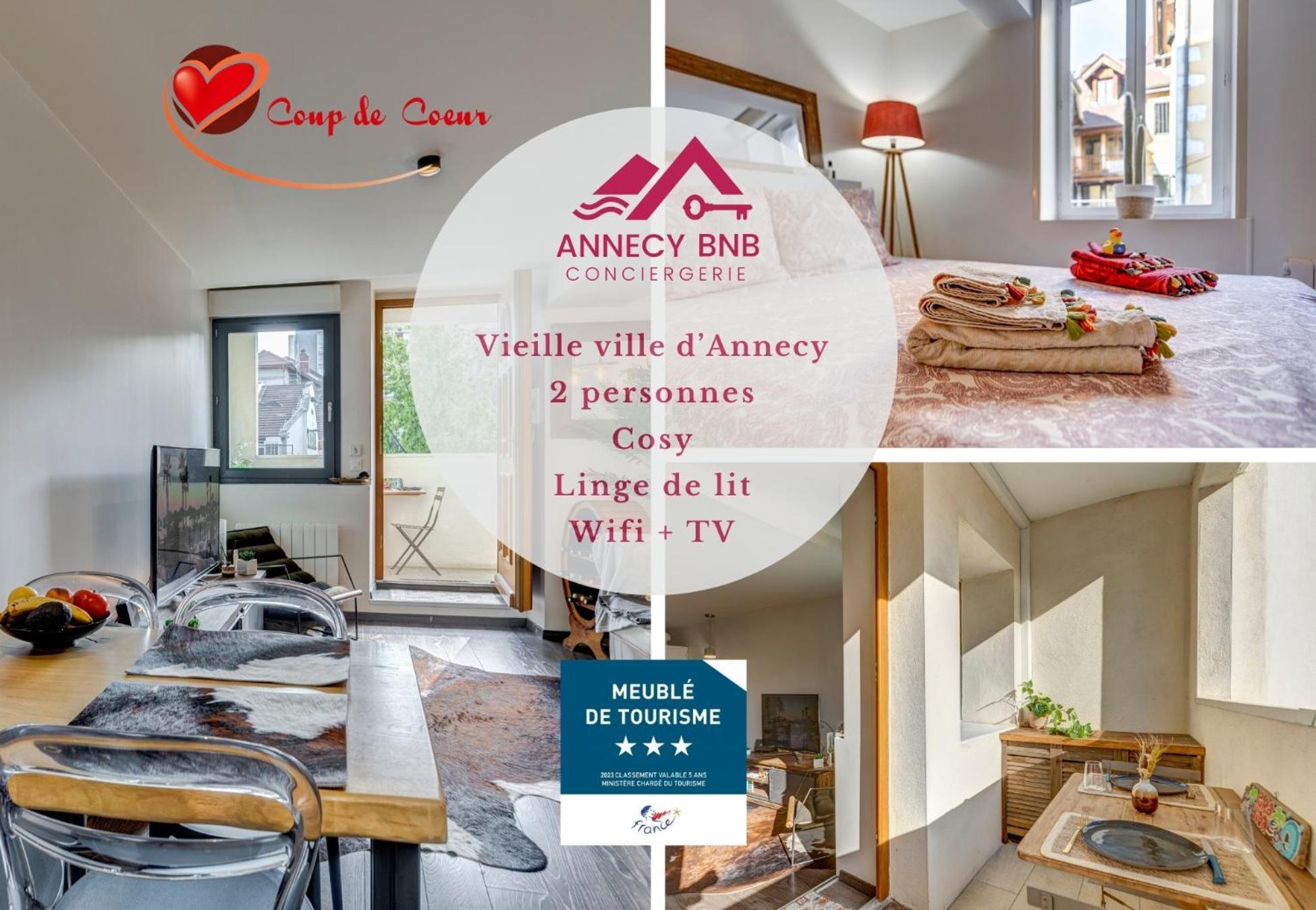 Le Pura Vida, Hyper Centre Terrasse + Parking Annecy Exterior foto